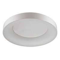 потолочный светодиодный светильник odeon light sole 4062/80cl в Тюмени