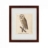 картина: one owl, 1560 в Тюмени