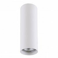 потолочный светильник lightstar rullo 214496 в Тюмени