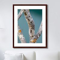 картина: trees on the galapagos islands, ecuador no3 в Тюмени