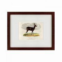 картина: a roebuck, 1830 в Тюмени