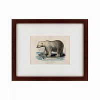 картина: white polar bear on an ice, 1830 в Тюмени