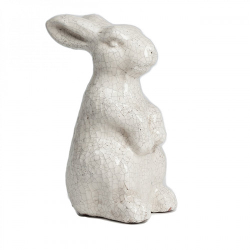 кролик декоративный rabbit в Тюмени