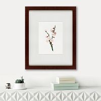 картина: apricot flower (prunus armeniaca), 1832 в Тюмени