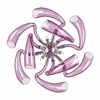 бра lightstar stella 892668 в Тюмени