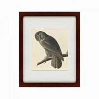 картина: great gray owl, 1834 в Тюмени