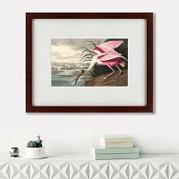 картина: roseate spoonbill, 1827 в Тюмени