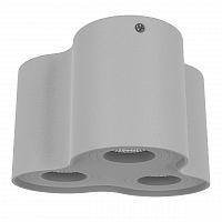 потолочный светильник lightstar binoco 052039 в Тюмени