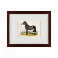 картина: a zebra, 1830 в Тюмени