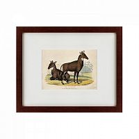 картина: two nilgais, 1830 в Тюмени