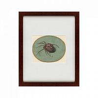 картина: spider, 1690 в Тюмени