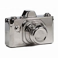 предмет декора camera серебряная в Тюмени