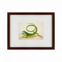 картина: green iguana, 1701 в Тюмени