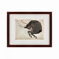 картина: signs of zodiac taurus, 1825 в Тюмени
