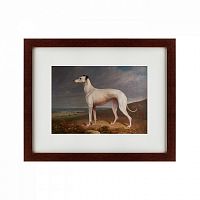 картина: portrait of a greyhound, 1744 в Тюмени