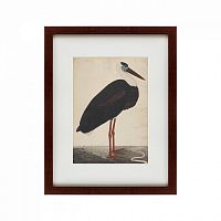 картина: black stork in a landscape, индия, 1780 в Тюмени