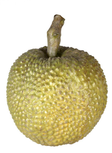 декор durian в Тюмени
