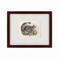 картина: the squirrel, 1879 в Тюмени