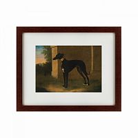 картина: portrait of a greyhound called pompon, 1746 в Тюмени