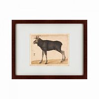 картина: moose, 1560 в Тюмени
