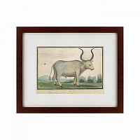 картина: cape ox, 1778 в Тюмени