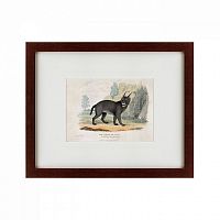 картина: a caracal or lynx, 1830 в Тюмени