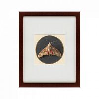 картина: owlet moth, 1700 в Тюмени